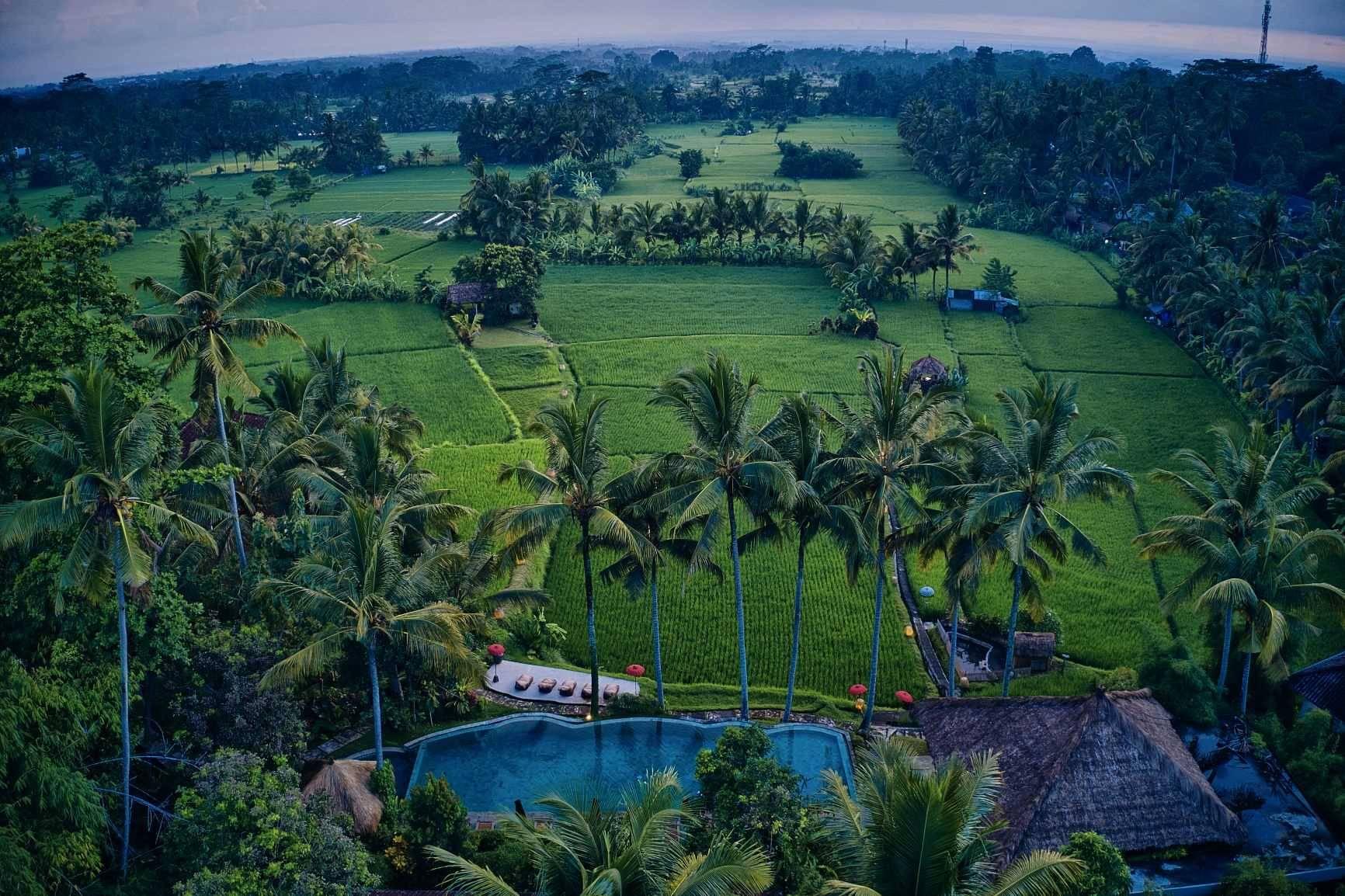 Mathis Retreat Ubud Hotel Bagian luar foto