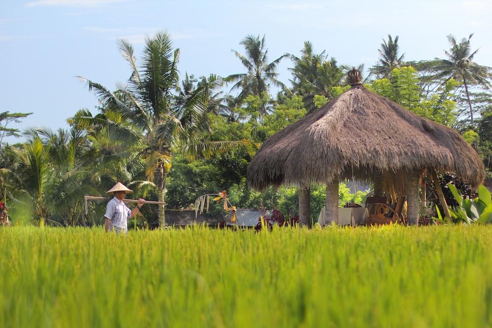 Mathis Retreat Ubud Hotel Bagian luar foto