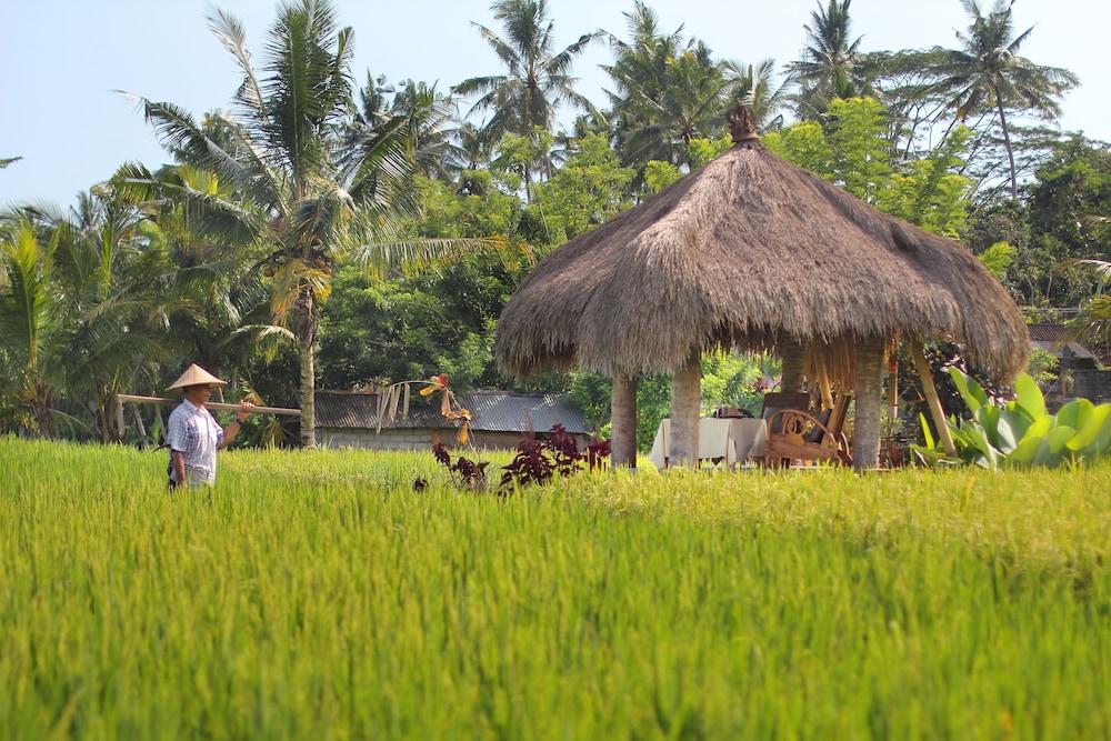 Mathis Retreat Ubud Hotel Bagian luar foto