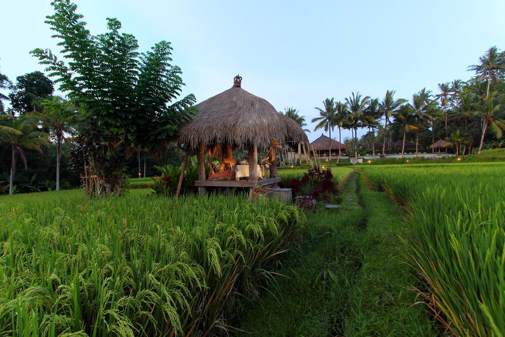 Mathis Retreat Ubud Hotel Bagian luar foto