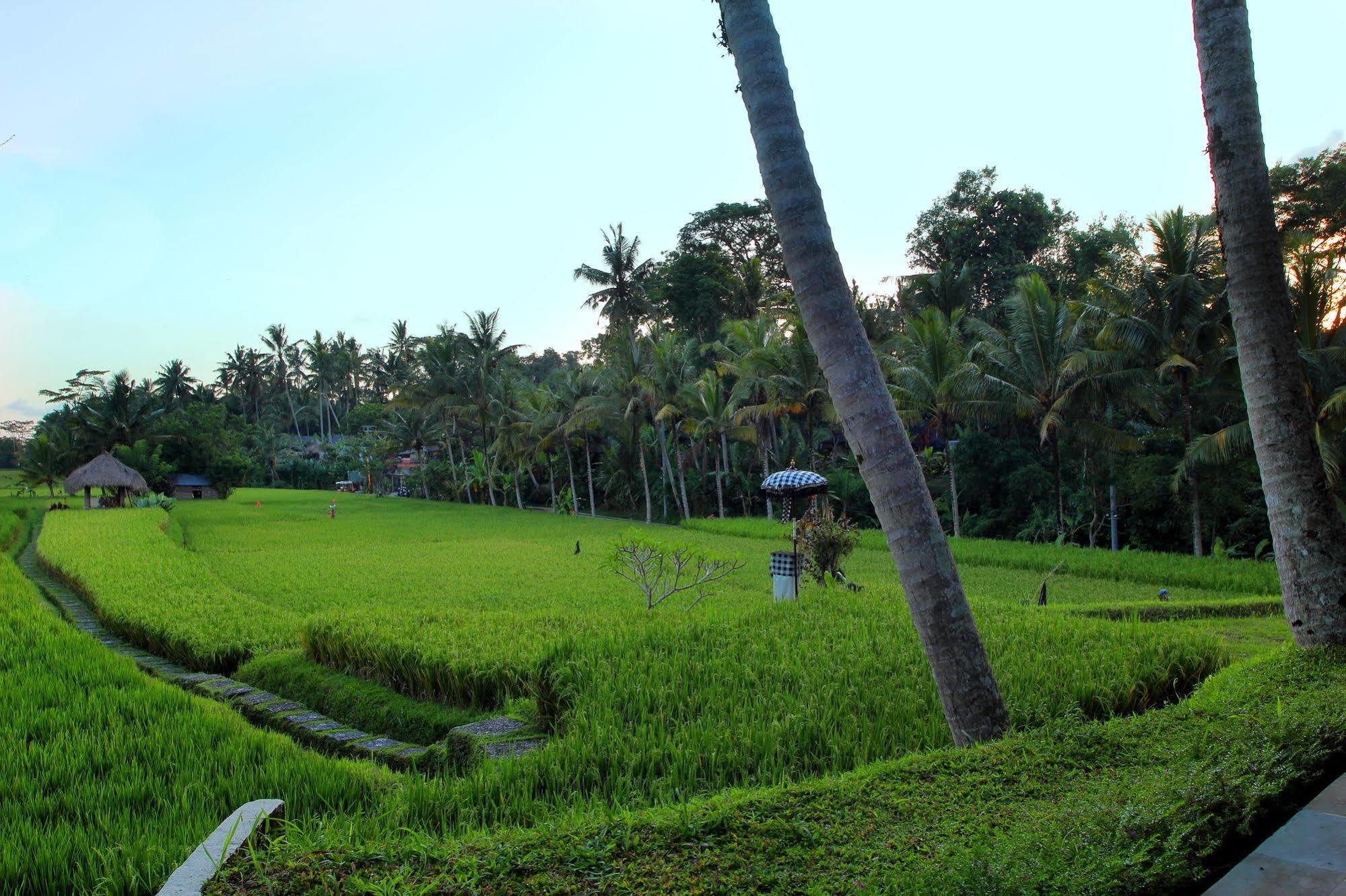 Mathis Retreat Ubud Hotel Bagian luar foto