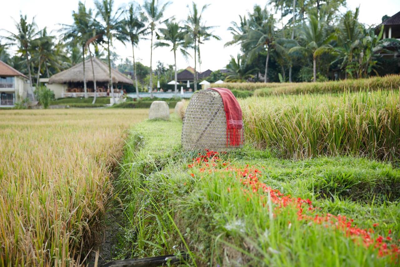 Mathis Retreat Ubud Hotel Bagian luar foto