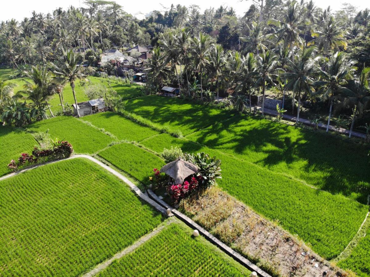 Mathis Retreat Ubud Hotel Bagian luar foto